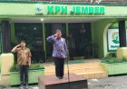 Perhutani Jember Laksanakan Peringatan Hari Bela Negara ke-77