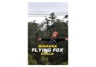 Flying Fox: Petualangan Seru di Udara