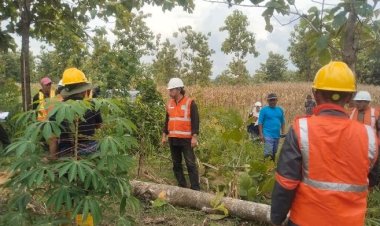 Perhutani Padangan Gelar Sosialisasi Penerapan K3L pada Lokasi Tebangan