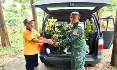 Perhutani Madura Berikan Bantuan 250 Bibit Pohon Kesambi Kepada Kodim 0826 Pamekasan